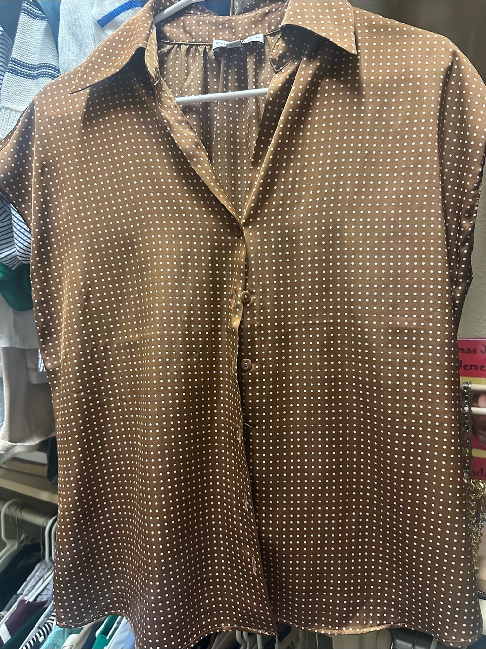 Polka Dot Short-Sleeve Button-Front Blouse in Brown